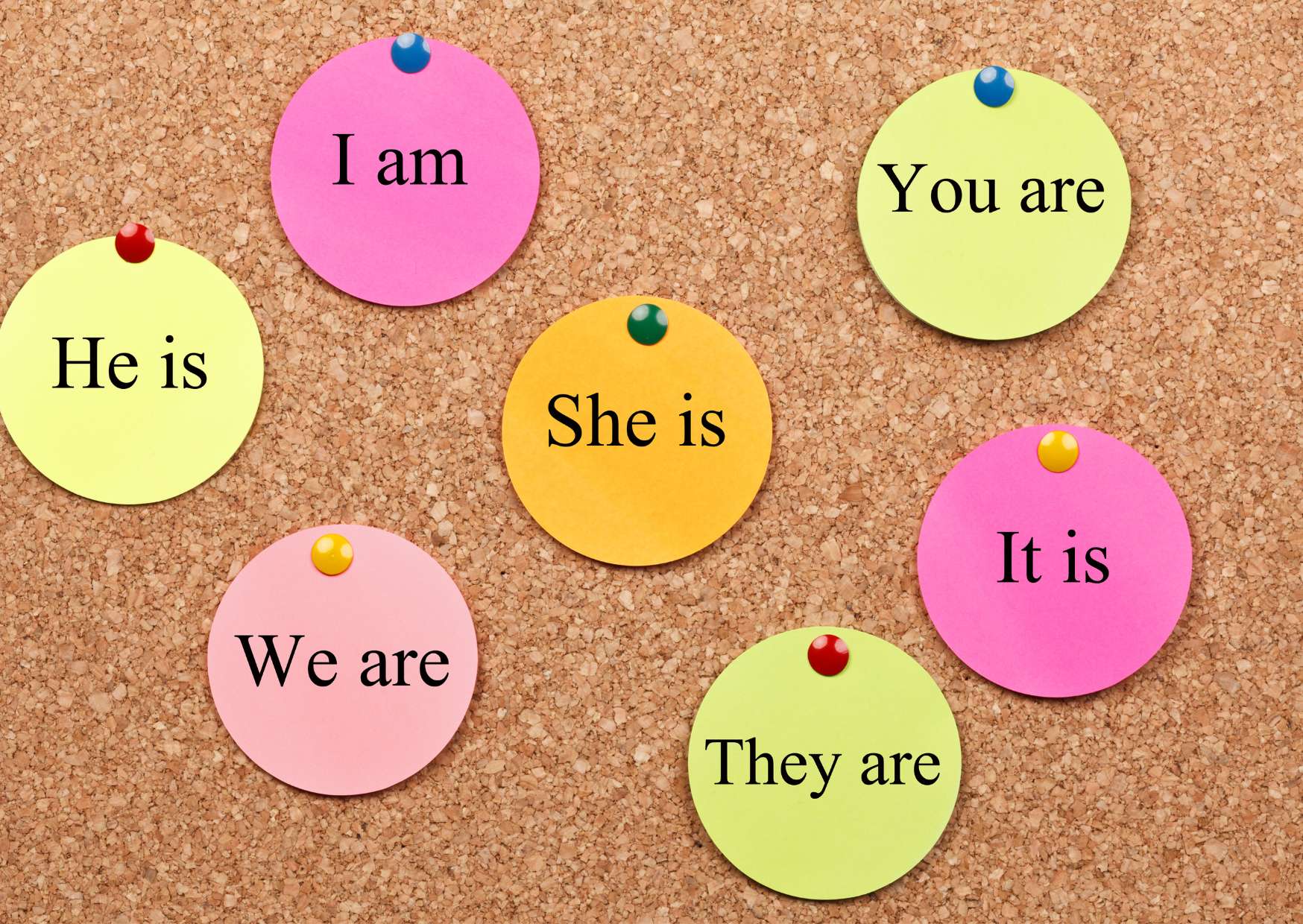 English Grammar Basics